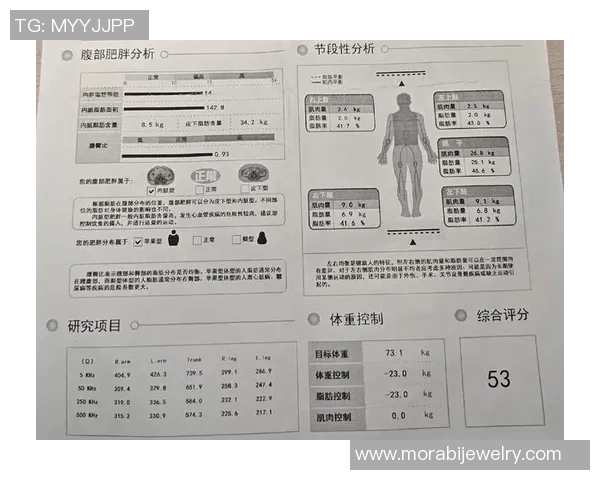 西安排球队在奥运会中的心理素质分析与表现评估